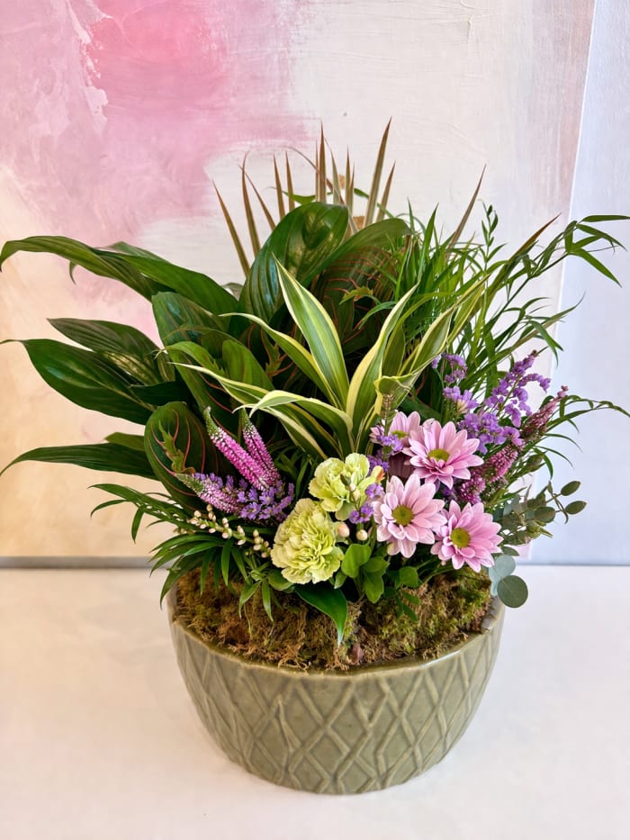 Emerald Haven Dish Garden