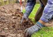 Full Garden Bed Preparation