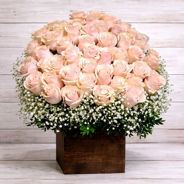 Four-dozen Pink Roses Arranged