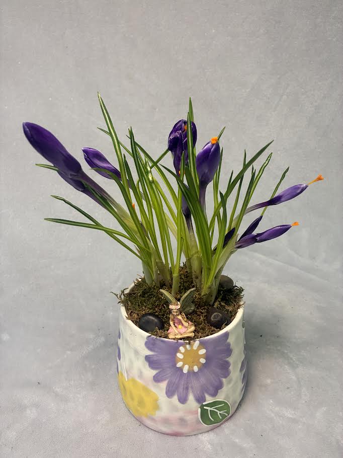 Watercolor Bulb Garden