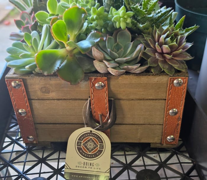 Succulent Garden
