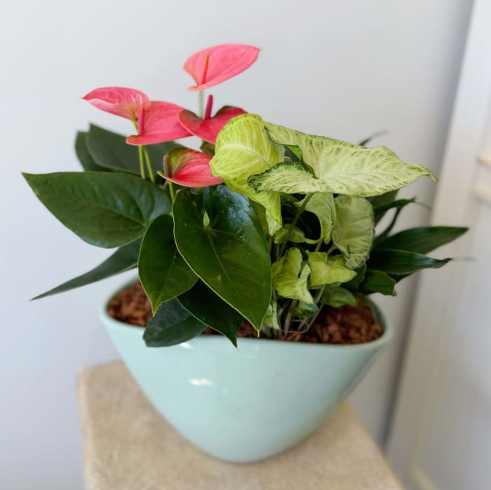 Large Sage Green Eileen Planter