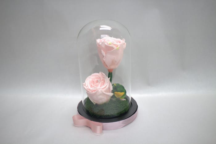 Timeless Beauty Rose Domes by Talisman