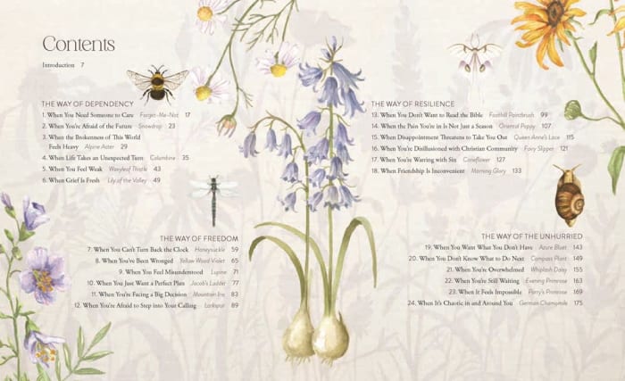 The Way of the Wildflower : Gospel Meditations