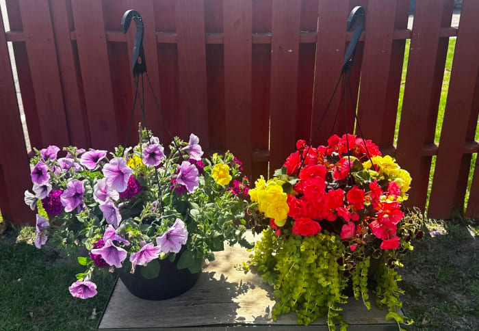 12 " Outdoor Hanging Basket
