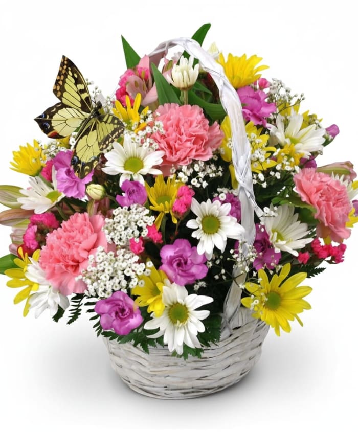 Butterflies 'N Bloom