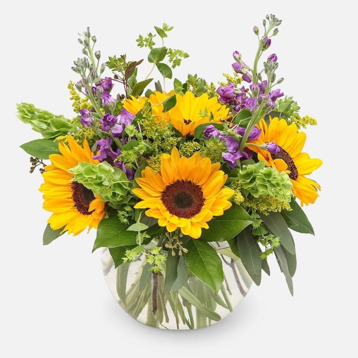 Sunshineblooms