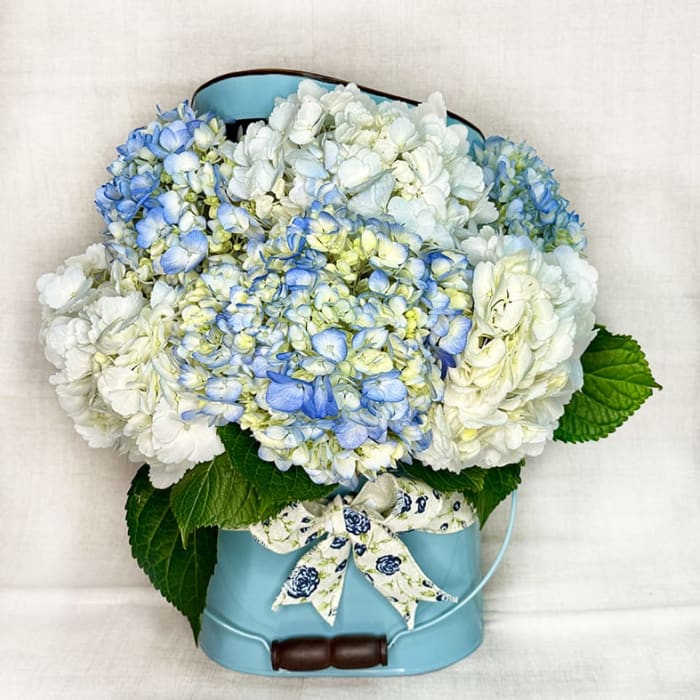 Soft Love in Blue
