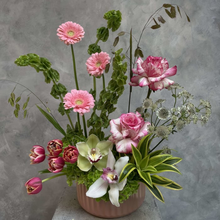 Blush Garden