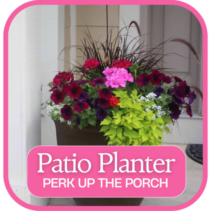 Patio Planter