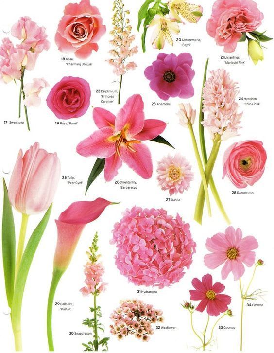 Pink Color Palette bouquet