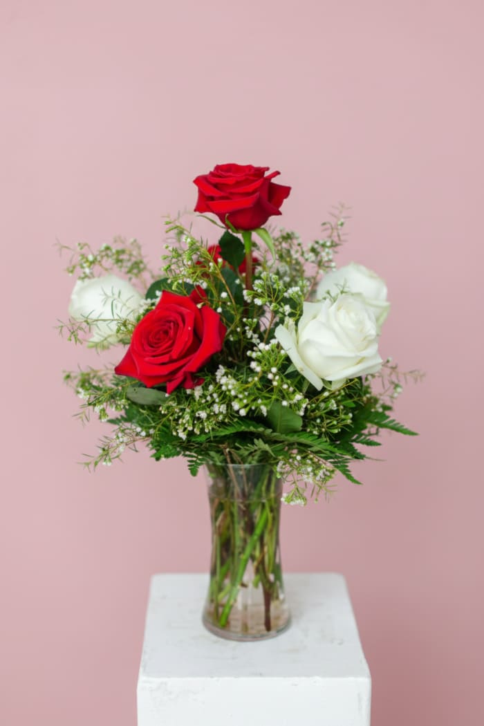 Half Dozen Red and White