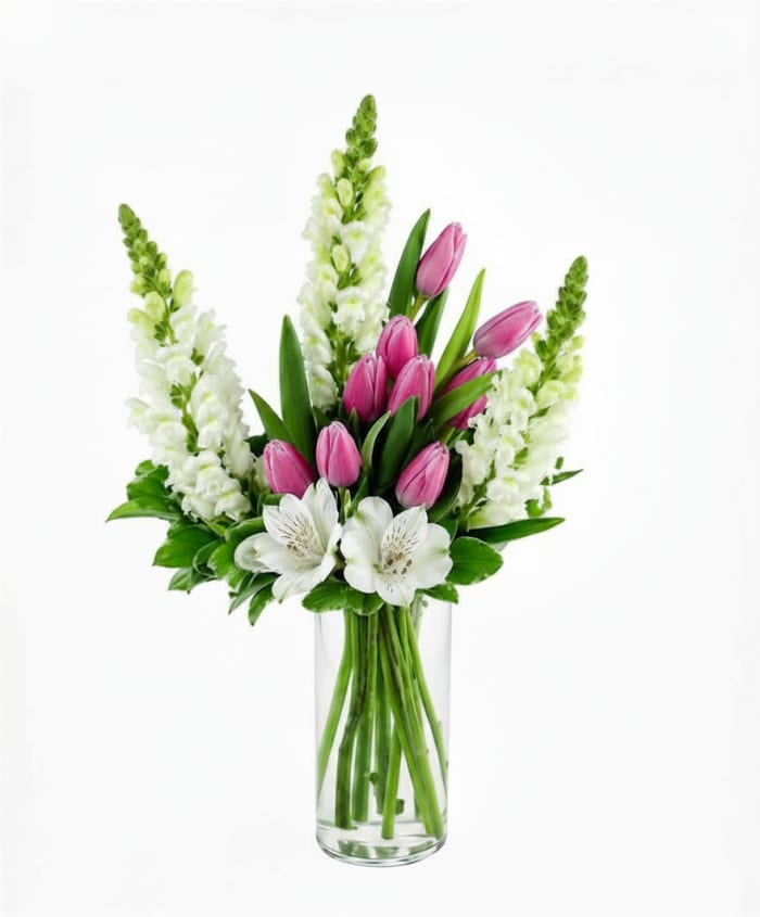 Tulip Bliss