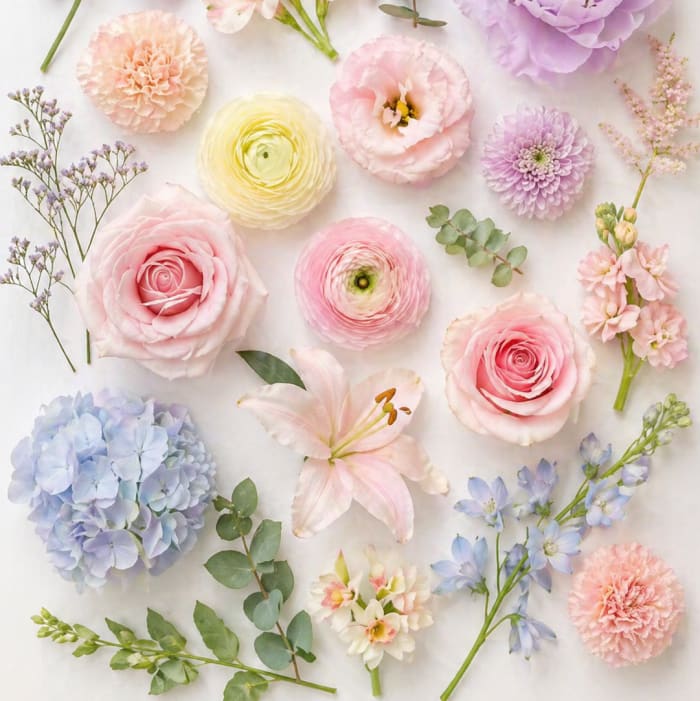 Pastel Designer’s Choice