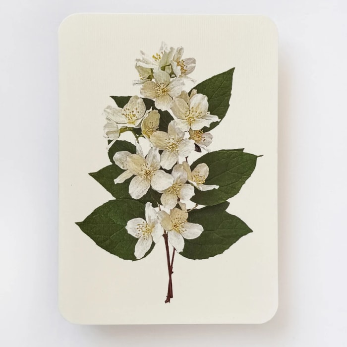 Orange Blossom Card