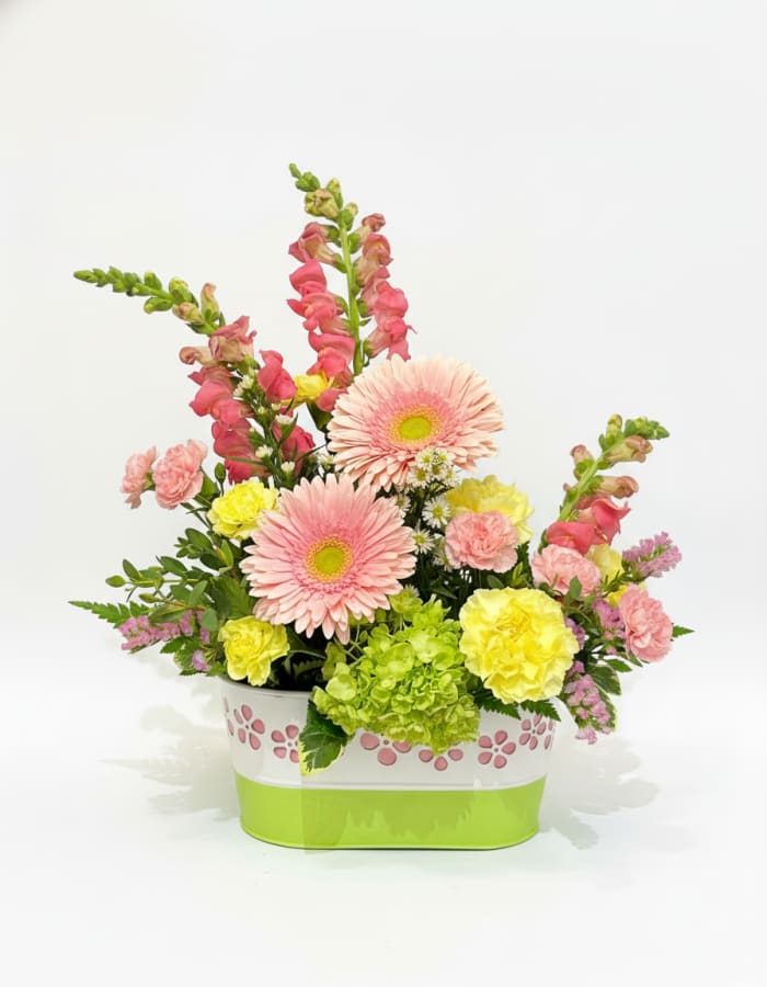 Blush Garden Delight