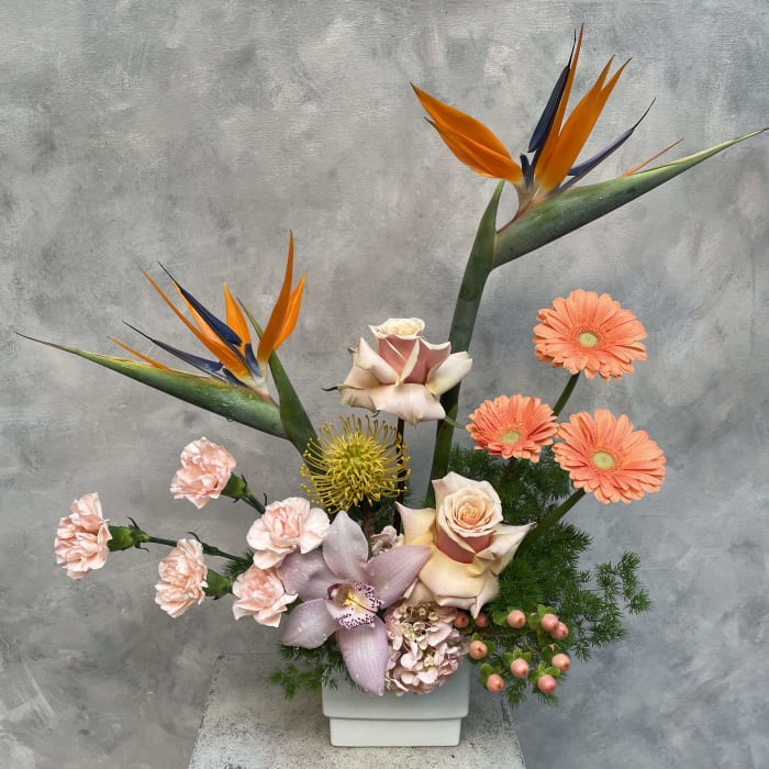 Tropical Peach