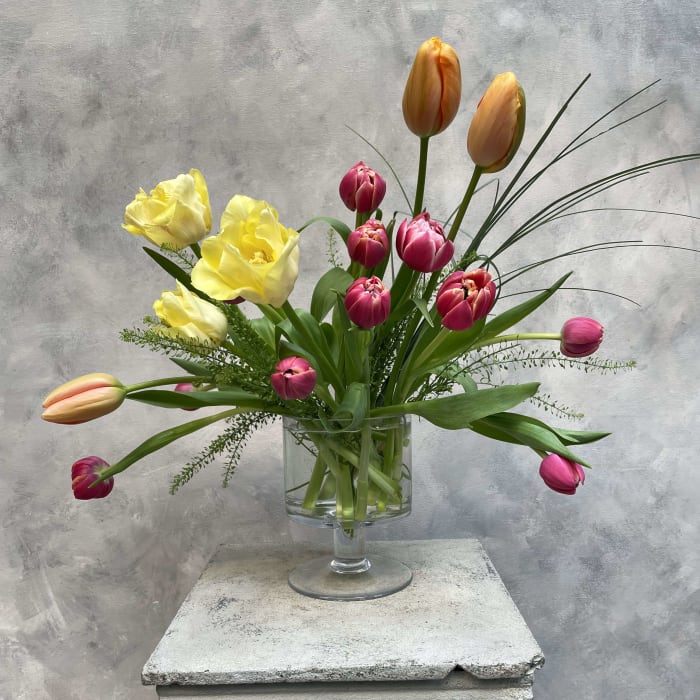 Tulip Garden