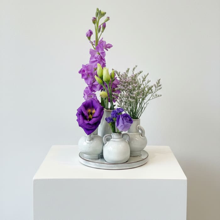 Soft Violet Study