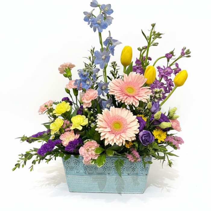 Spring Palette Garden