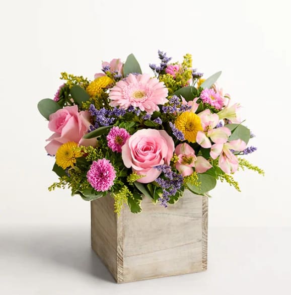 Spring Sentiment