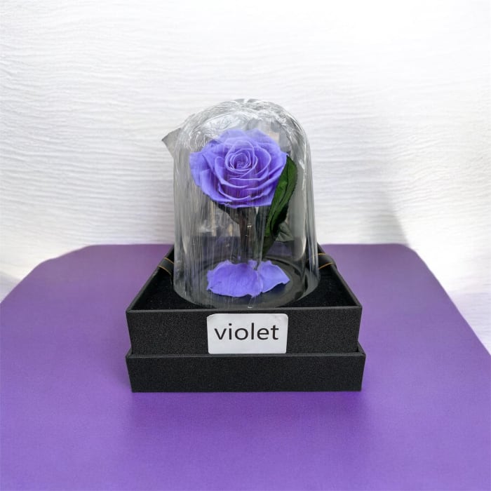 Violet Rose Dome