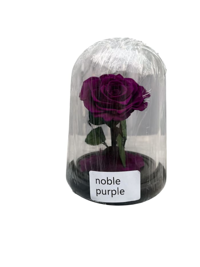Noble Purple Rose Dome
