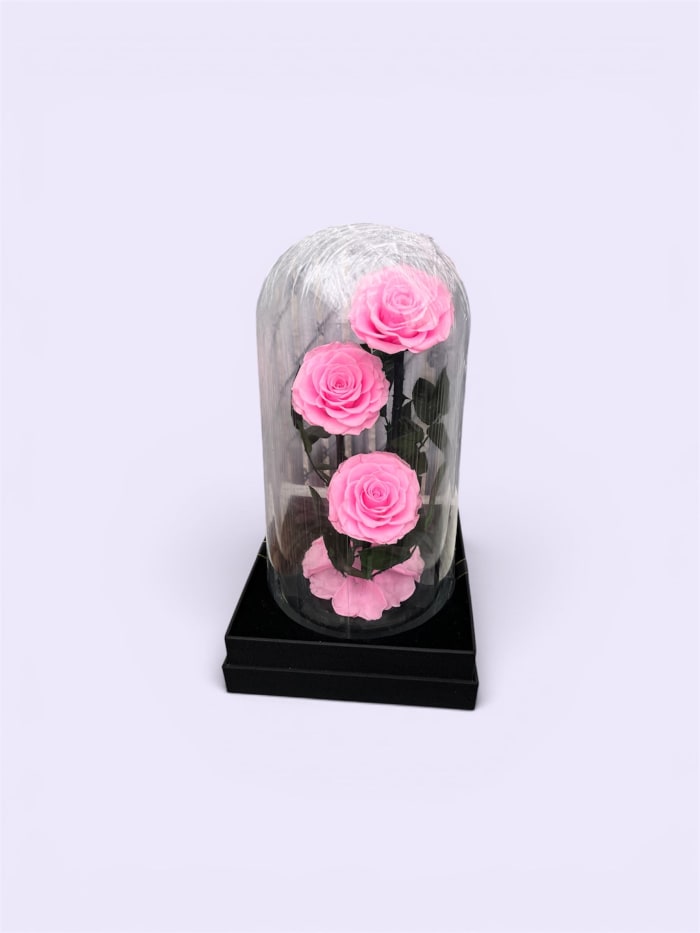 Triple Pink Rose Dome
