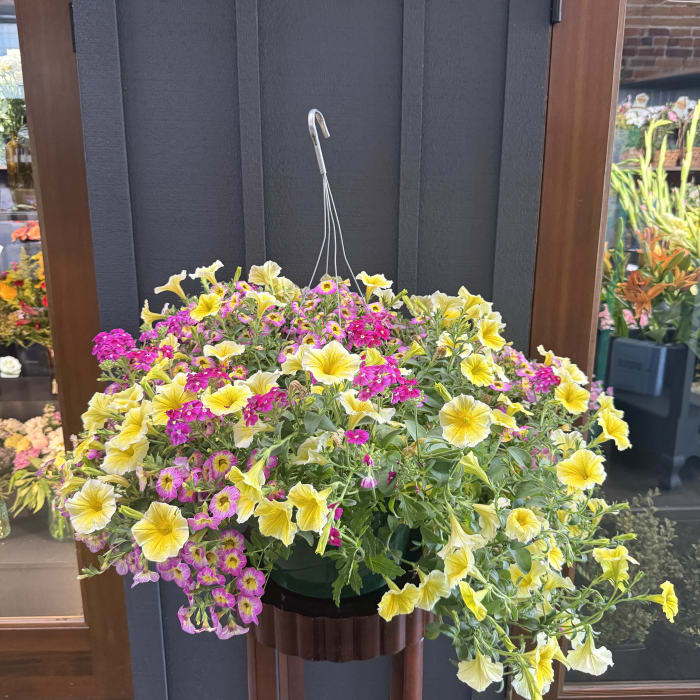 Hanging Flowering Basket (XL)