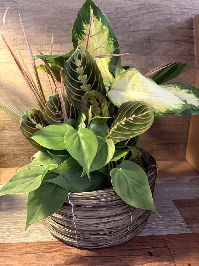 Indoor Garden Planter