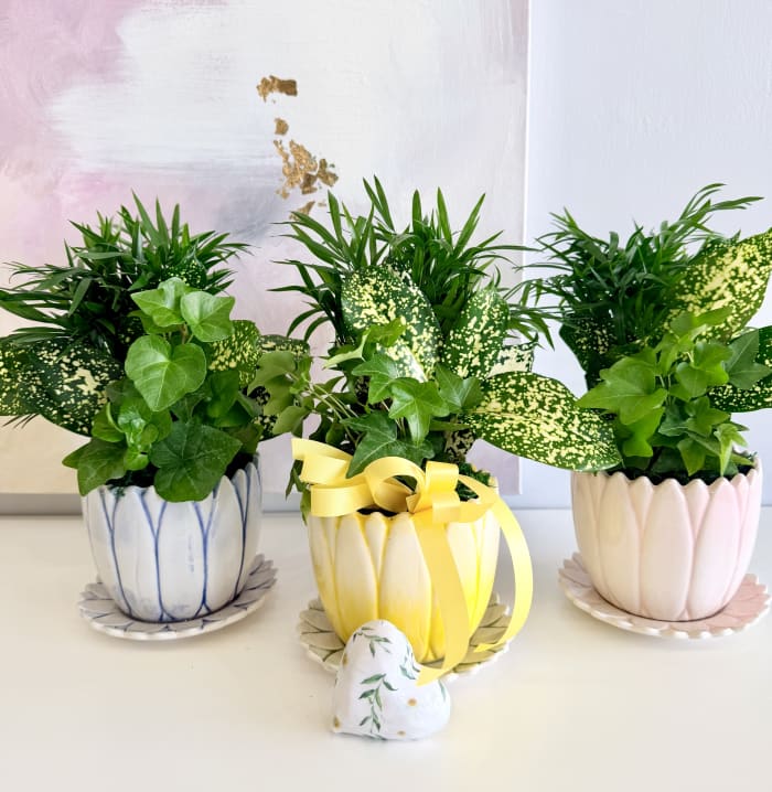 Petal Pot Garden