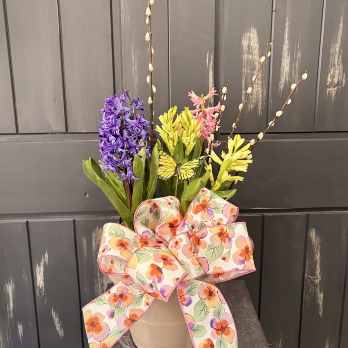 Fragrant Hyacinth Bulb Garden