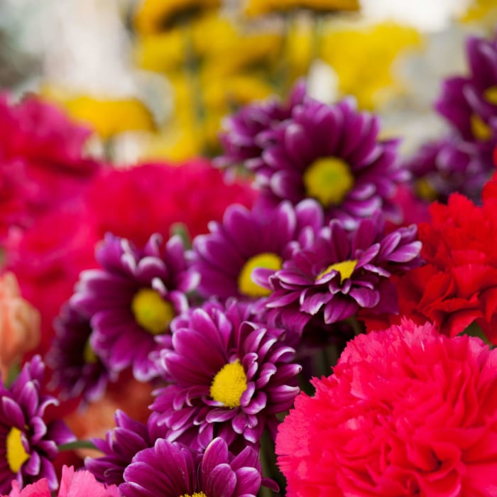Mother's Day Designer's Choice