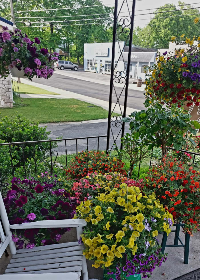 beautiful large hanging baskets