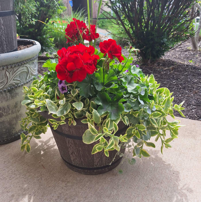 Patio/Porch Planter