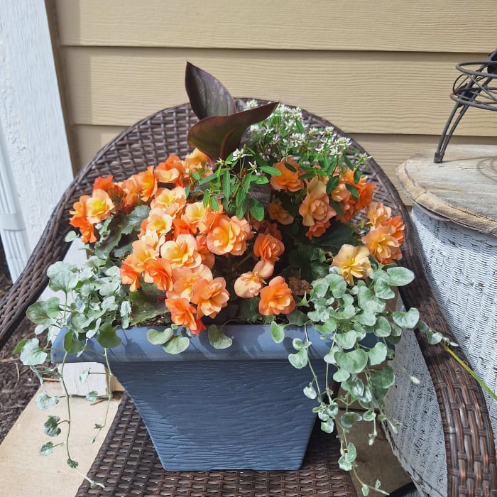 Porch Planter
