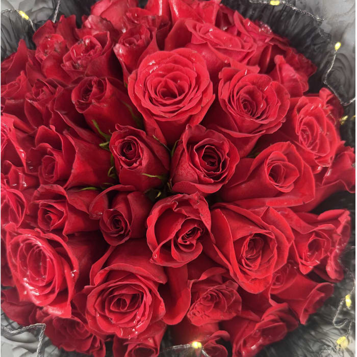 50 Rose Light Up Bouquet (Gen's Special)
