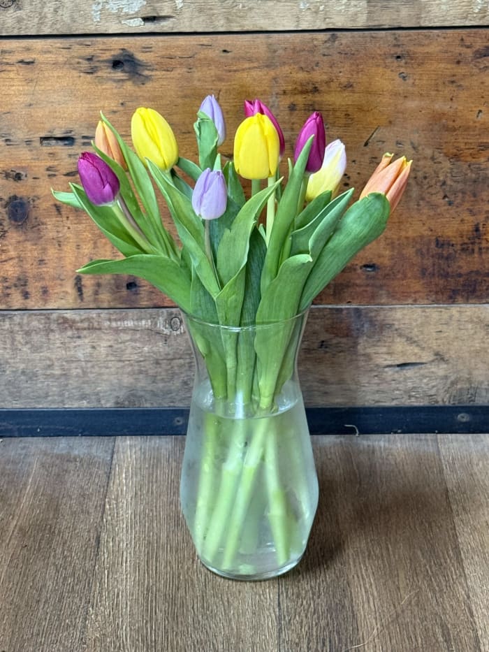 Welcoming Spring