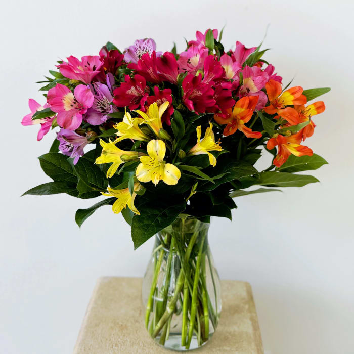 Vibrant Alstroemeria Vase