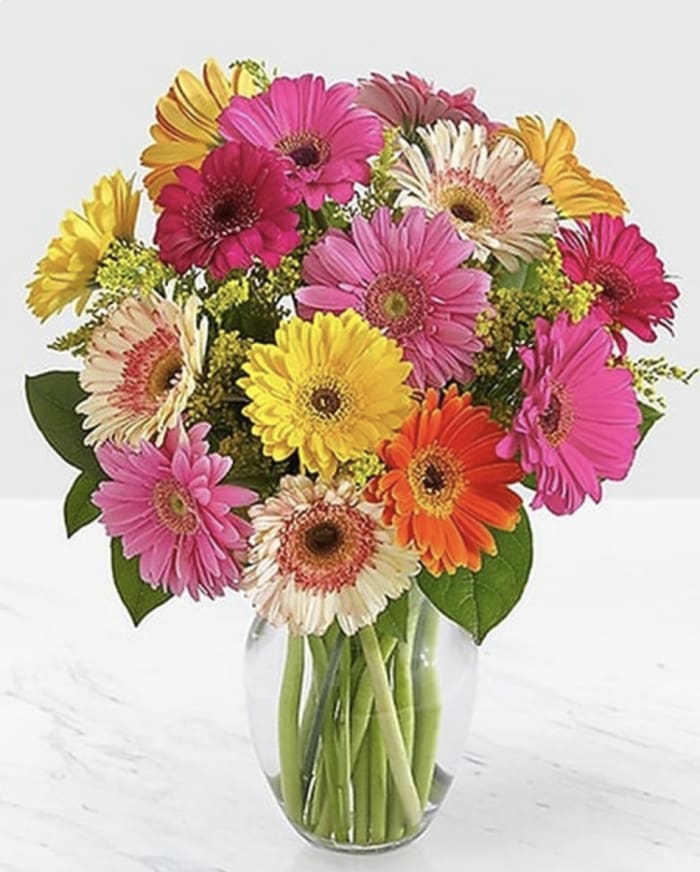Bright Gerberas Vased