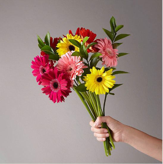 Gerbera Bouquet