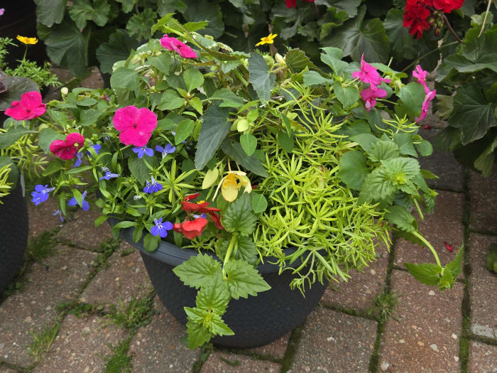 Combo Planter 15"