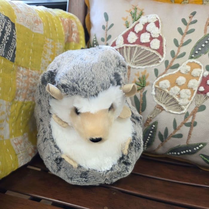 Spunky Hedgehog