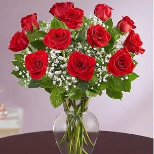 The Ultimate Dozen Red Rose Arrangement