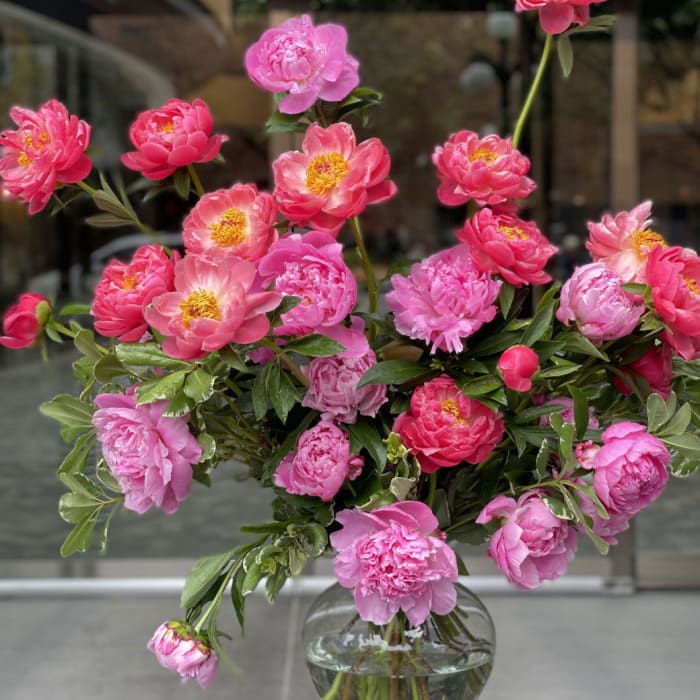 Peony Bunch