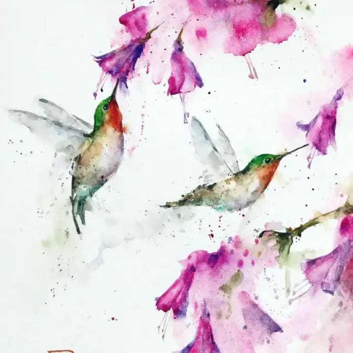Hummingbirds Card