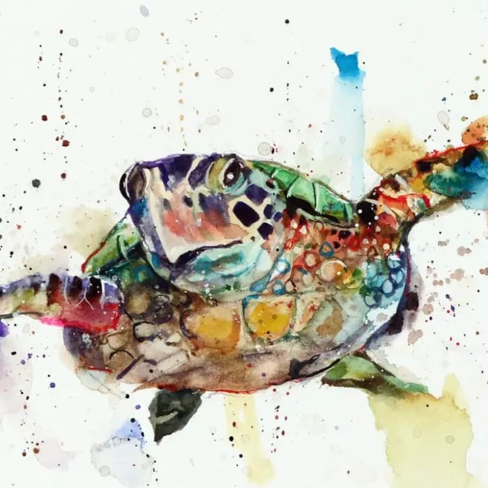 Sea Turtle