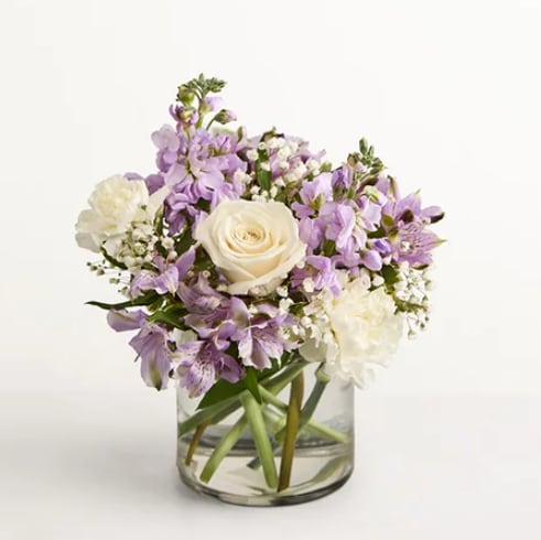 Lovely Lavender