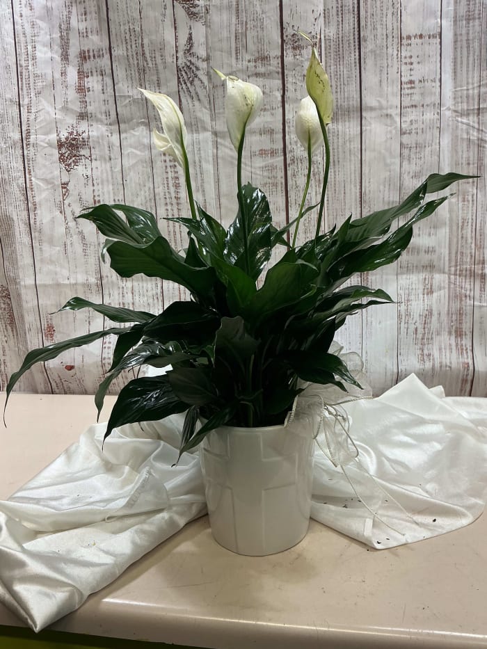 Sympathy Cross Peace Lily