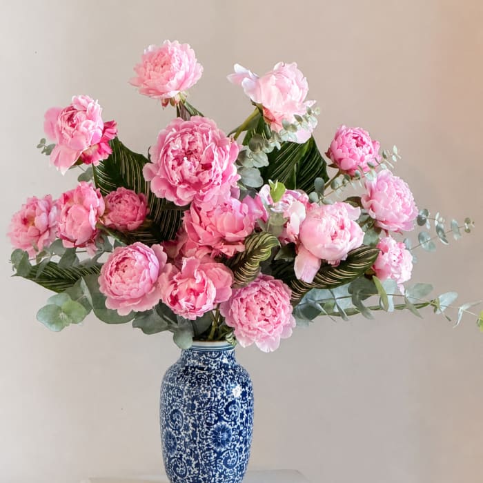 Miss Peonies